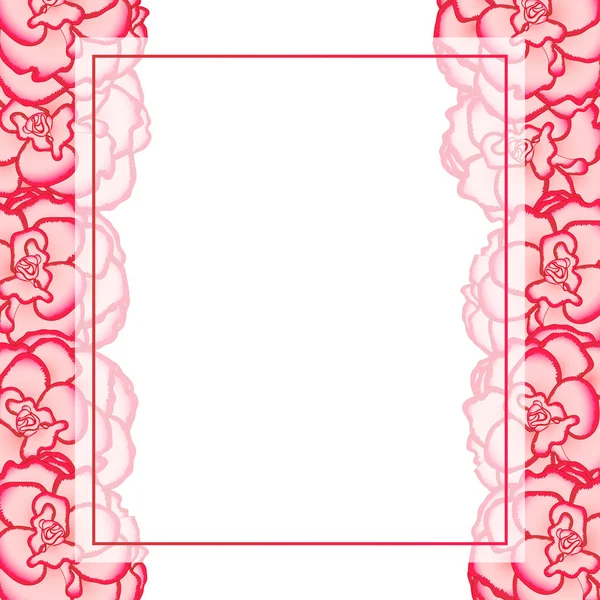 Fleur Begonia Rose Picotee First Love Banner Card Border Illustration — Image vectorielle