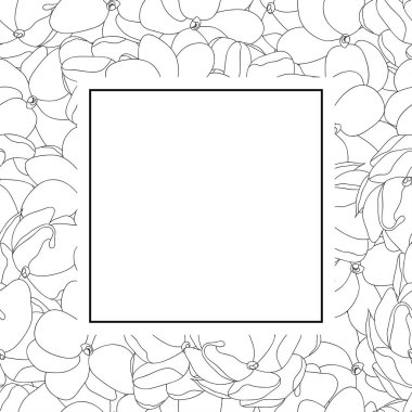 Jasminum sambac - Arap Yasemin anahat Afiş kartı vektör çizim.