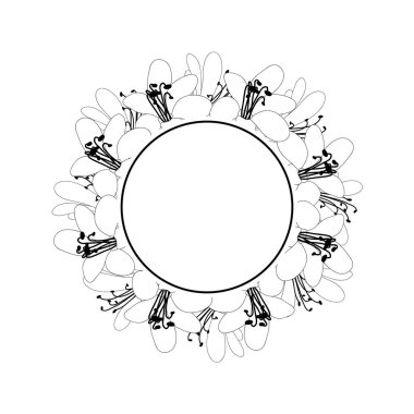 Agapanthus çiçeği anahat afiş çelenk. Vektör çizim.