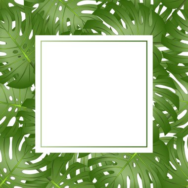 Bitkiyi Monstera yaprak Afiş kartı sınır. Vektör çizim.