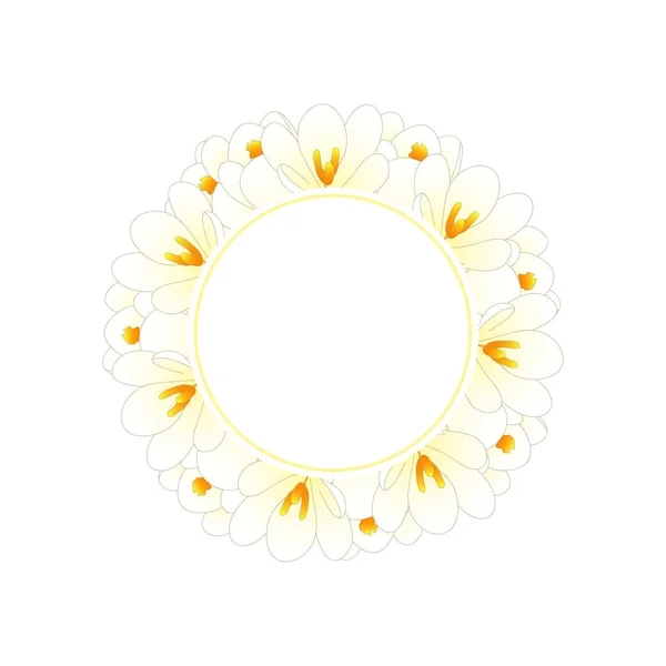 Couronne Blanche Bannière Fleur Crocus Illustration Vectorielle — Image vectorielle