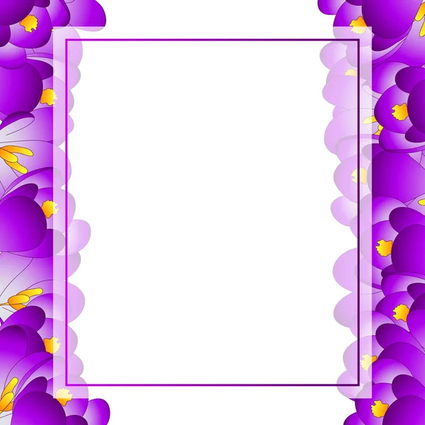 Carte Bannière Fleur Crocus Violet Illustration Vectorielle — Image vectorielle