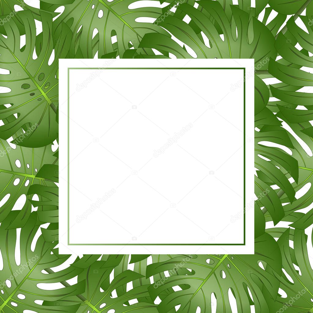 Philodendron Monstera Leaf Banner Card Border. Vector Illustration.