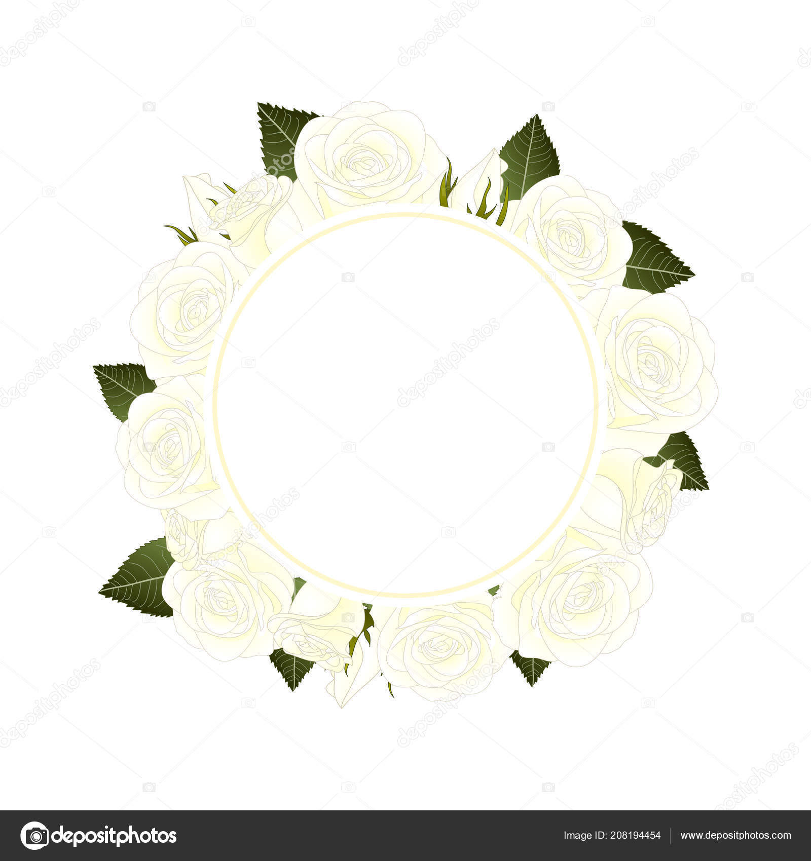 Couronne Fleur Rose Blanche Bannière Isolé Sur Fond Rouge