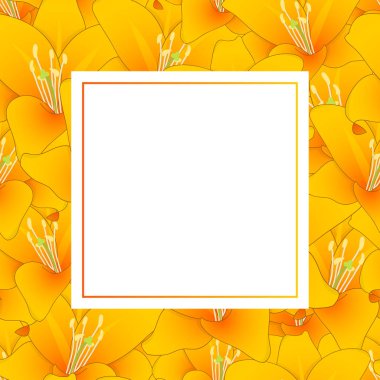 Lilium candidum, Madonna lily veya turuncu Lily Afiş kartı sınır. Vektör çizim.