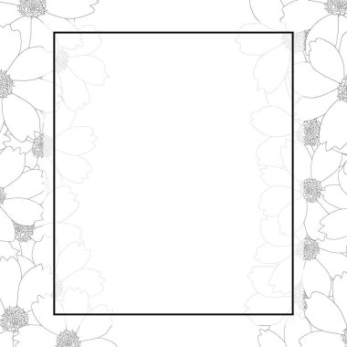 Cosmos çiçek anahat Afiş kartı vektör çizim.