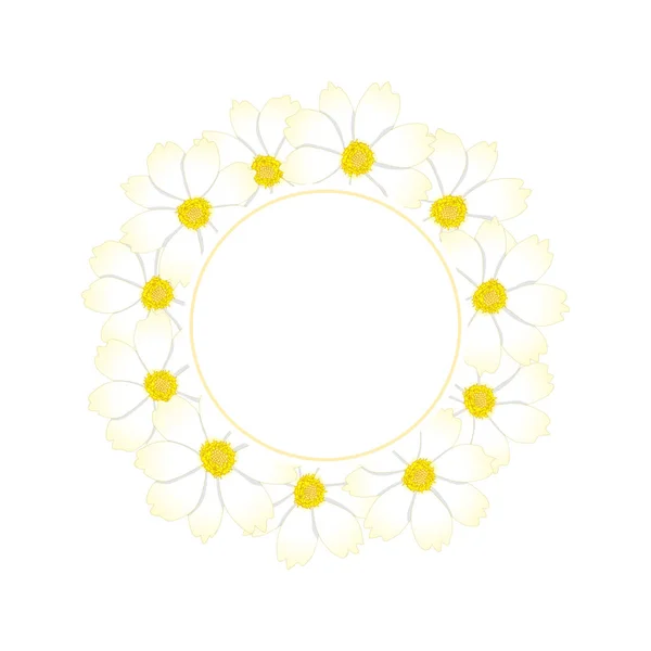 Couronne Blanche Bannière Fleur Cosmos Illustration Vectorielle — Image vectorielle