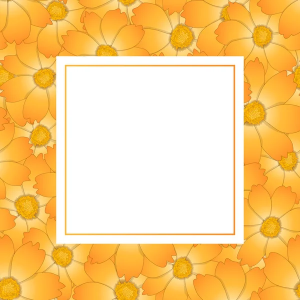 Orangefarbene Gelbe Kosmos Blumen Banner Karte Vektorillustration — Stockvektor