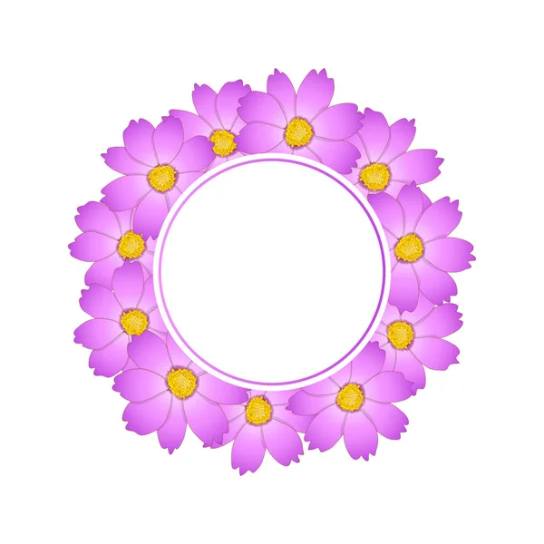 Růžový Cosmos Flower Banner Věnec Vektorové Ilustrace — Stockový vektor