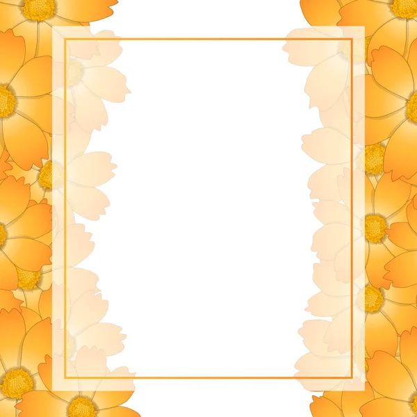 Oranje Geel Cosmos Bloem Banner Card Vector Illustratie — Stockvector