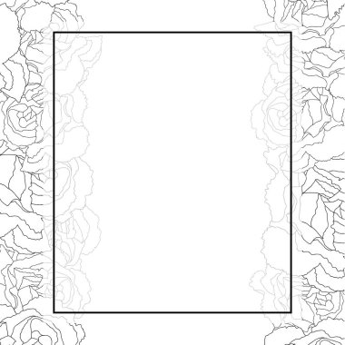 Dianthus caryophyllus - karanfil çiçek dış Afiş kartı kenarlık. Vektör çizim.