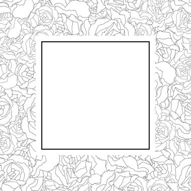 Dianthus caryophyllus - karanfil çiçek dış Afiş kartı kenarlık. Vektör çizim.