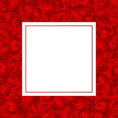 Dianthus caryophyllus - kırmızı karanfil çiçek afiş kartı sınır. Vektör çizim.