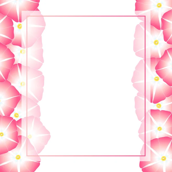 Pink Morning Glory Flower Banner Card Border Ilustración Vectorial — Archivo Imágenes Vectoriales