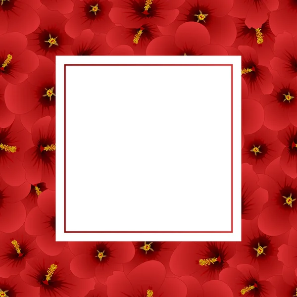 Red Hibiscus Flower Rose Sharon Banner Card Border Ilustração Vetorial — Vetor de Stock