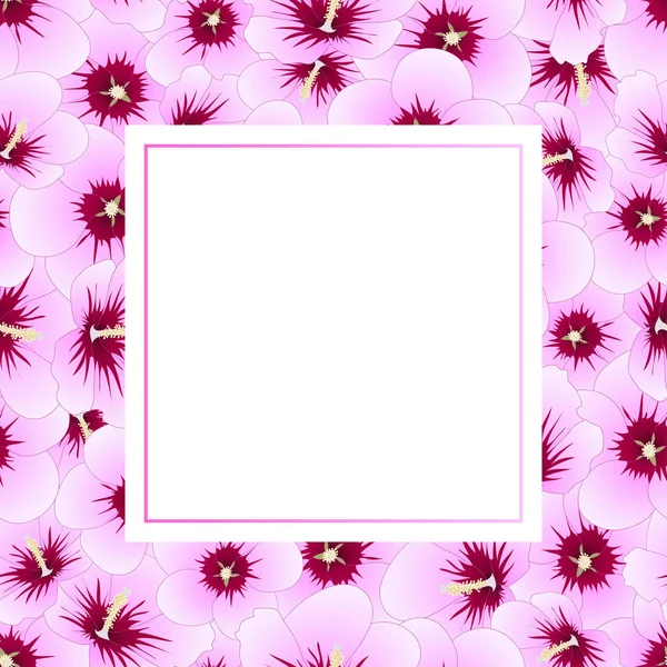 Hibiscus Syriacus Rose Sharon Banner Card Border Ilustração Vetorial —  Vetores de Stock