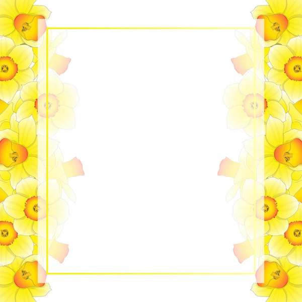 Narciso Amarillo Narciso Banner Card Border White Background Inglés Ilustración — Vector de stock