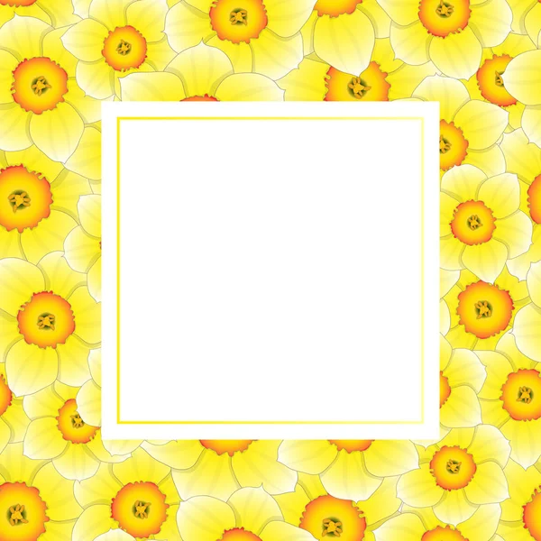 Jaune Jonquille Narcisse Banner Card Bordure Sur Fond Blanc Illustration — Image vectorielle