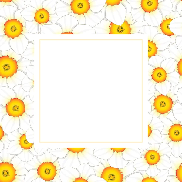 Narciso Bianco Narciso Fiore Banner Card Border Illustrazione Vettoriale — Vettoriale Stock