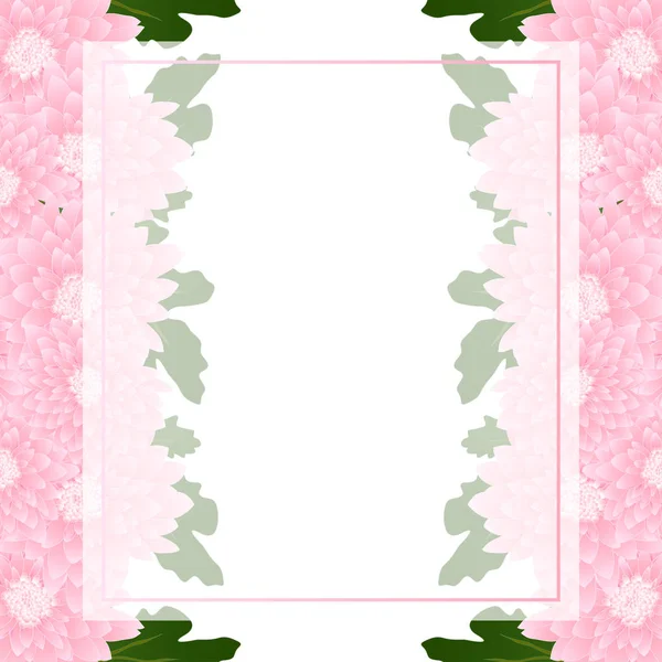 Pink Chrysanthemum Banner Card Ilustração Vetorial —  Vetores de Stock