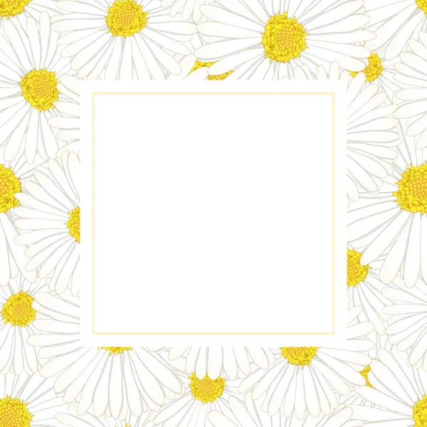 Λευκό Aster Εικονογράφηση Διάνυσμα Κάρτα Banner Λουλούδι Μαργαρίτα — Διανυσματικό Αρχείο