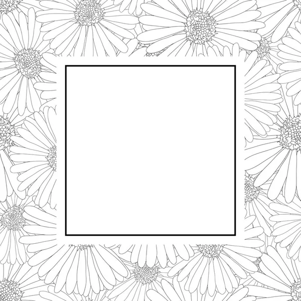 Aster Daisy Flower Kantlinje Banner Kort Vektorillustration — Stock vektor