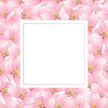 Prunus serrulata - kiraz çiçeği, Sakura Afiş kartı vektör çizim.