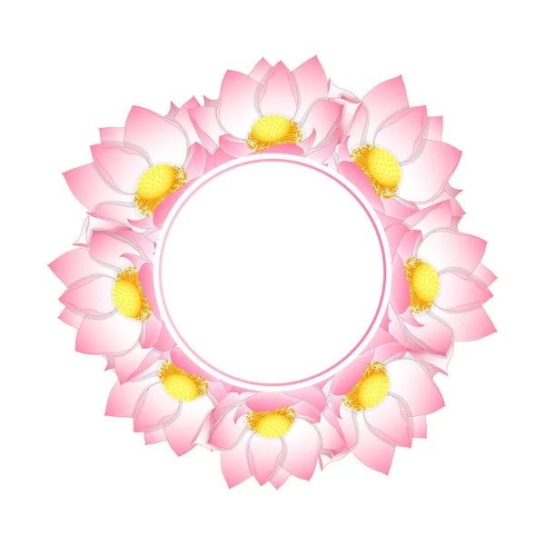 Couronne Bannière Lotus Indien Rose Nelumbo Nucifera Lotus Sacré Haricot — Image vectorielle