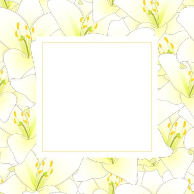 Beyaz zambak çiçeği Afiş kartı sınır. Vektör çizim.