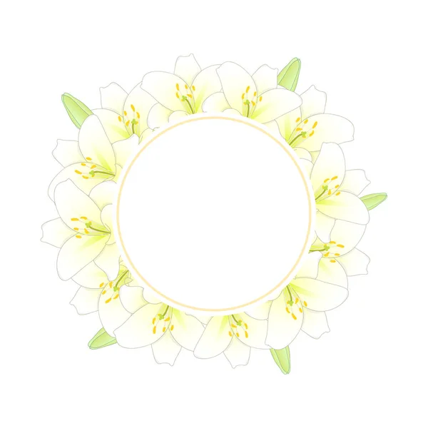 Biały Kwiat Lilii Transparent Wieniec Ilustracja Wektorowa — Wektor stockowy