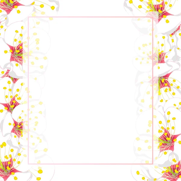 Weiße Pflaumenblüten Blume Banner Karte Vektorillustration — Stockvektor