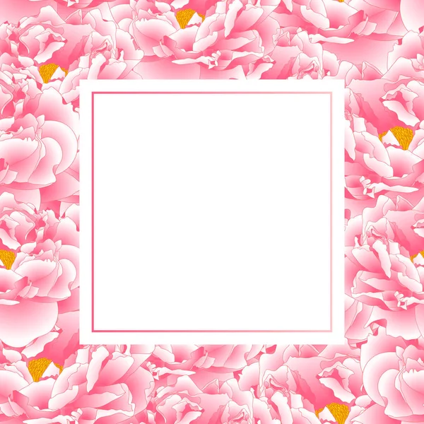 Carte Bannière Pivoine Rose Illustration Vectorielle — Image vectorielle
