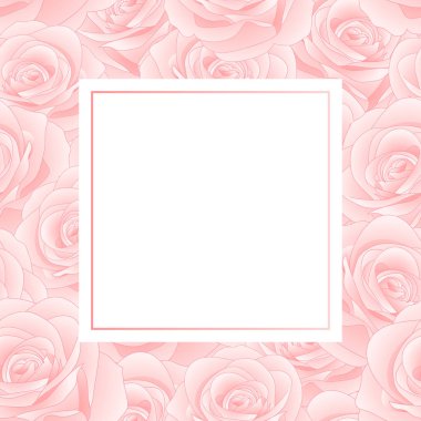 Güzel pembe gül Banner kartı sınır - Rosa beyaz arka plan üzerinde izole. Sevgililer günü. Vektör çizim.