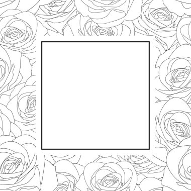 Güzel gül - Rosa Outline Afiş kartı Sevgililer günü. Vektör çizim.