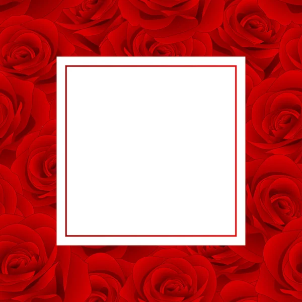 Hermosa Rosa Roja Rosa Banner Card Día San Valentín Ilustración — Vector de stock