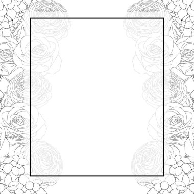 Gül, ortanca ve tipik dış Afiş kartı kenarlık. Beyaz arka plan üzerinde izole. Vektör çizim.