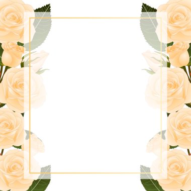 Turuncu gül çiçek kare Banner kartı sınır. Beyaz arka plan üzerinde izole. Vektör çizim.