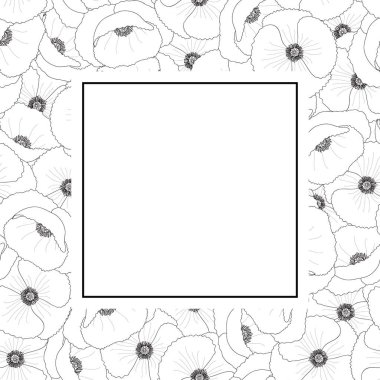 Gelincik (bitki) dış Afiş kartı kenarlık veya ortak haşhaş, Mısır haşhaş, gül, alan poppy, Flanders Mısır haşhaş ya da kırmızı haşhaş. Beyaz arka plan üzerinde izole. Vektör çizim.