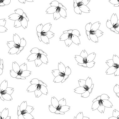 Prunus serrulata anahat - kiraz çiçeği, Sakura anahat beyaz arka plan üzerinde. Vektör çizim.