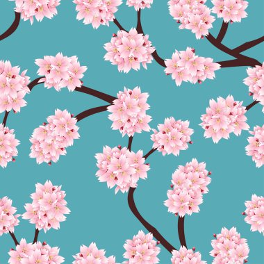 Prunus serrulata anahat - kiraz çiçeği, Sakura mavi zemin üzerine. Vektör çizim.