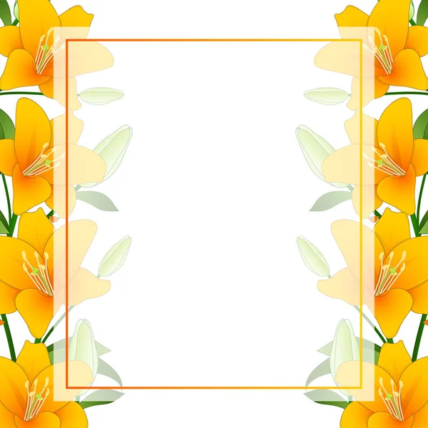 Orange Lilium Candidum Madonna Lily Banner Card Border White Background — Vector de stock