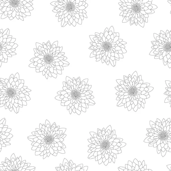 Crisantemo Esquema Sobre Fondo Blanco Ilustración Vectorial — Vector de stock