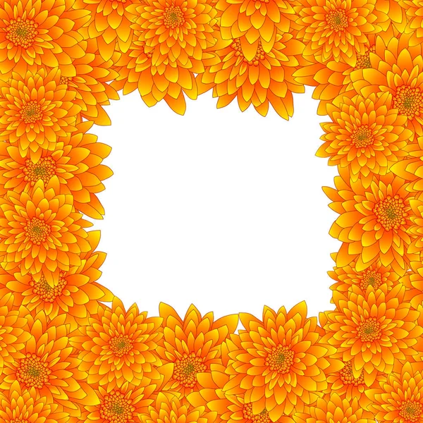 Yellow Chrysanthemum Border Isolated White Background Vector Illustration — Stock Vector
