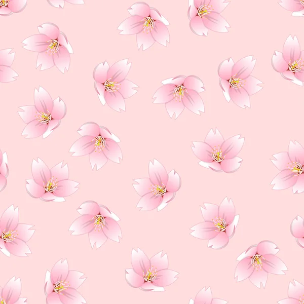 Prunus Serrulata Outline Cherry Blossom Sakura Pink Background Vector Illustration — Stock Vector