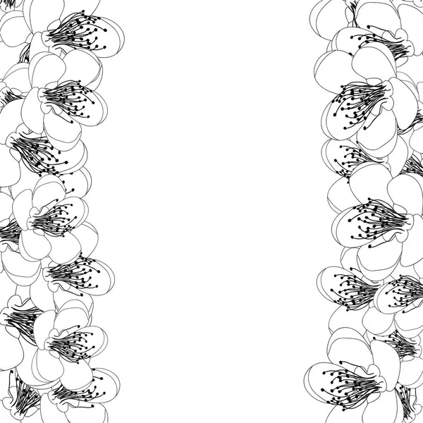 Momo Őszibarack Virág Virág Határ Vázlat Vektoros Illusztráció — Stock Vector