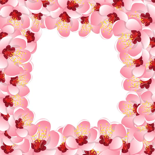 桃桃花の花の境界線の背景 ベクトル図 — ストックベクタ