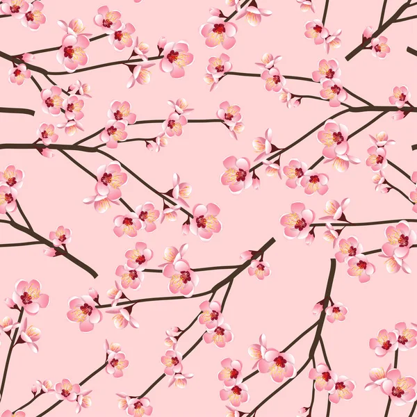 Momo Peach Blossom Flower Naadloze Roze Achtergrond Vectorillustratie — Stockvector