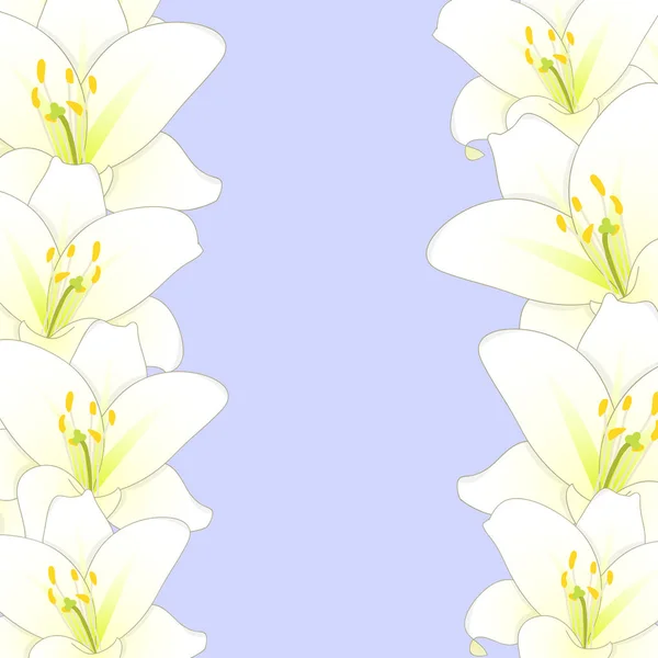 Weiße Lilie Blume Rand Isoliert Auf Violettem Hintergrund Vektorillustration — Stockvektor