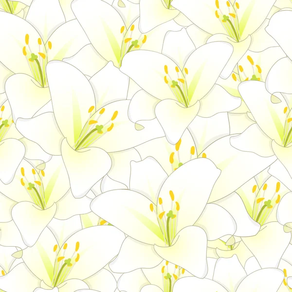 Weiße Lilie Blume Nahtlosen Hintergrund Vektorillustration — Stockvektor