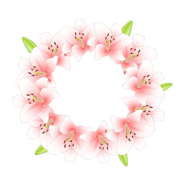 Pink Lily Flower Wreath Isolated White Background Vector Illustration — Stock Vector